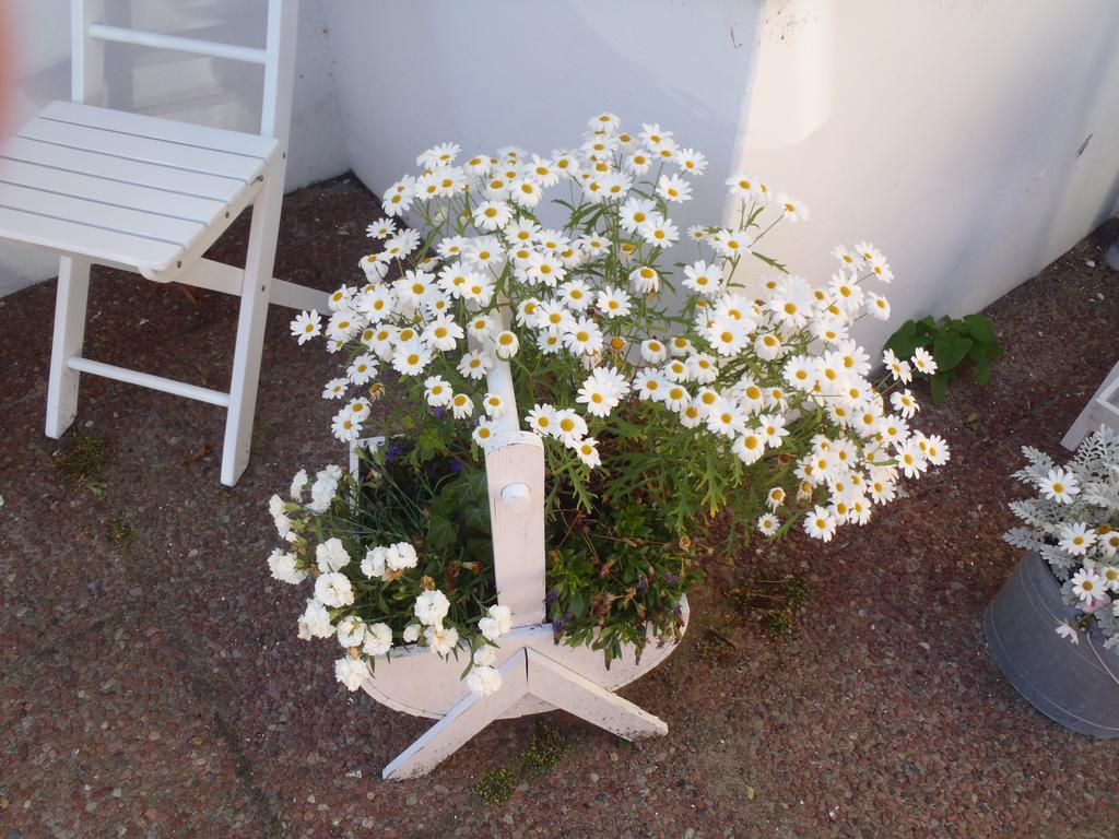 Oddevej 20 Skagen Otel Dış mekan fotoğraf